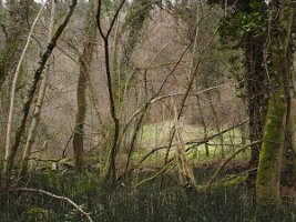 Starz_orte_004
